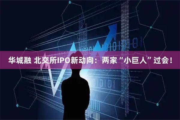 华城融 北交所IPO新动向：两家“小巨人”过会！