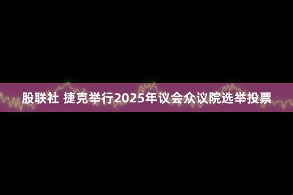 股联社 捷克举行2025年议会众议院选举投票
